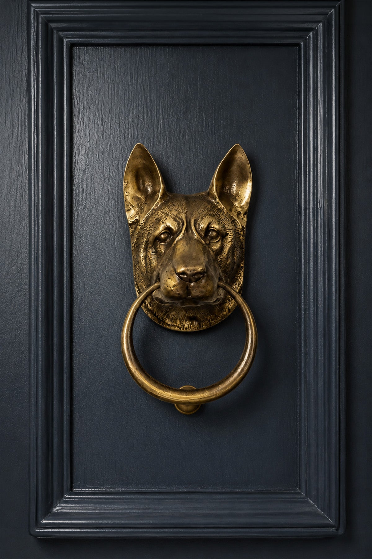Brass Door Knockers