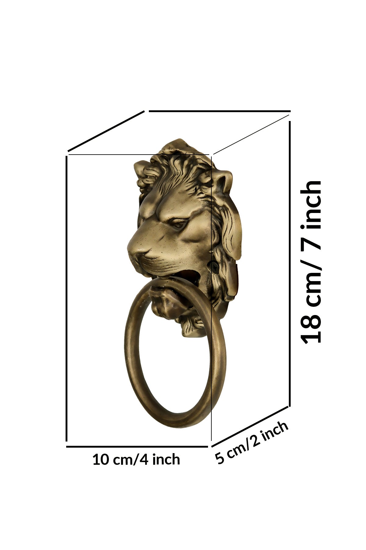Lion Head Brass Door Knocker – Small