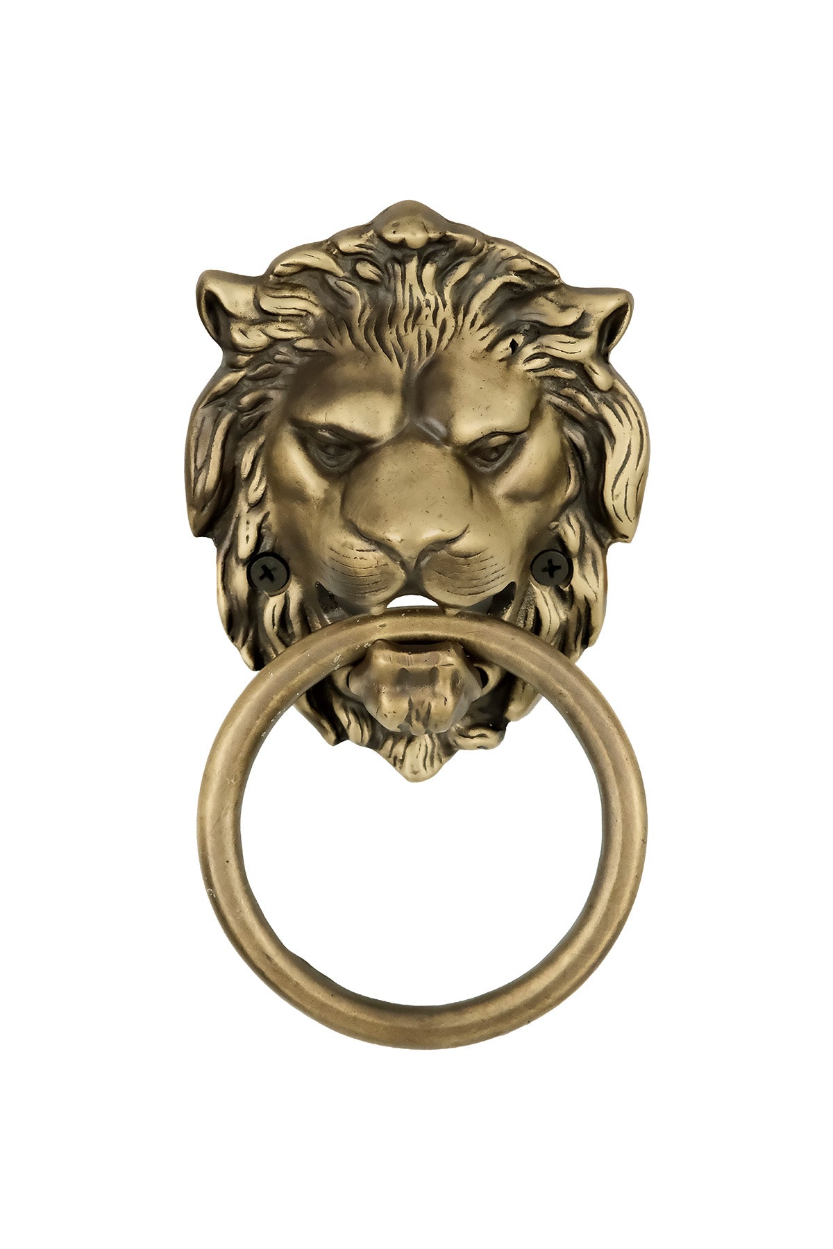 Lion Head Brass Door Knocker – Small
