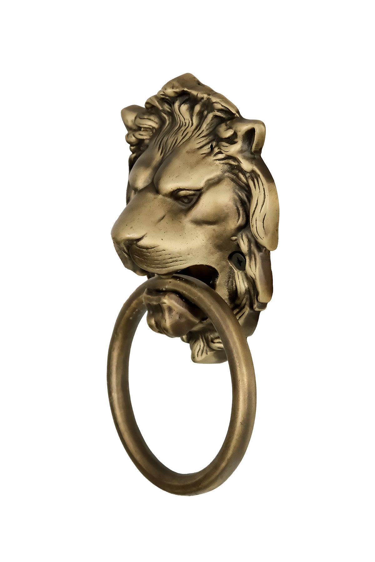 Lion Head Brass Door Knocker – Small