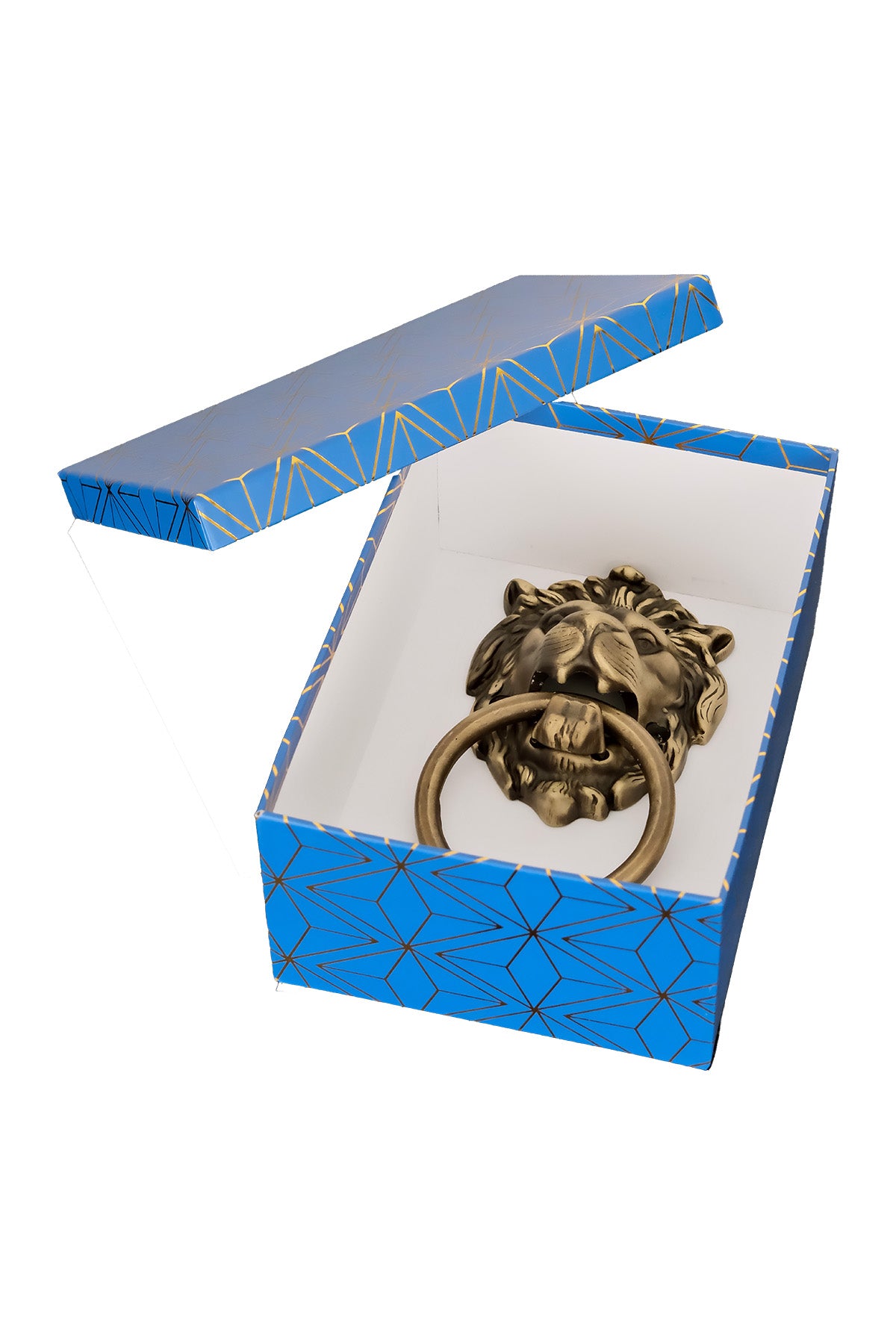 Lion Head Brass Door Knocker – Small