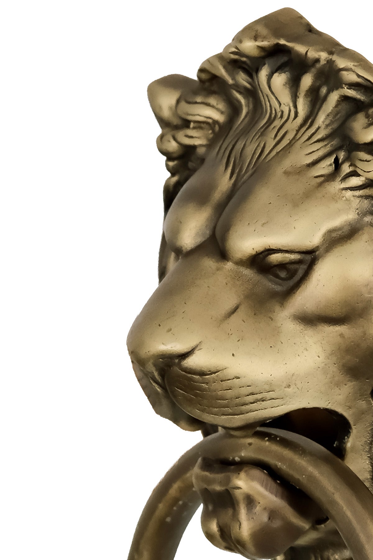 Lion Head Brass Door Knocker – Small