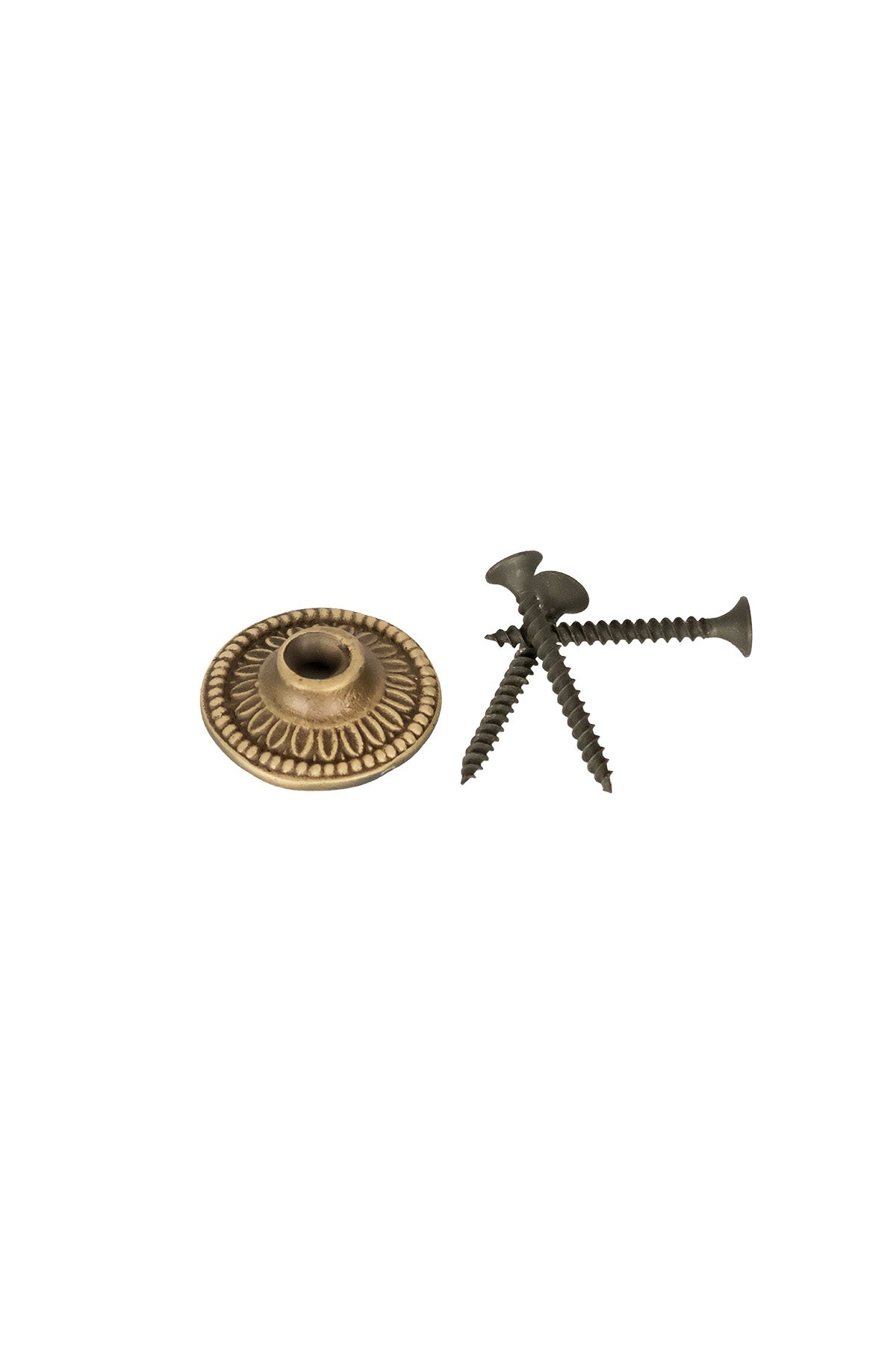 Lion Head Brass Door Knocker – Small