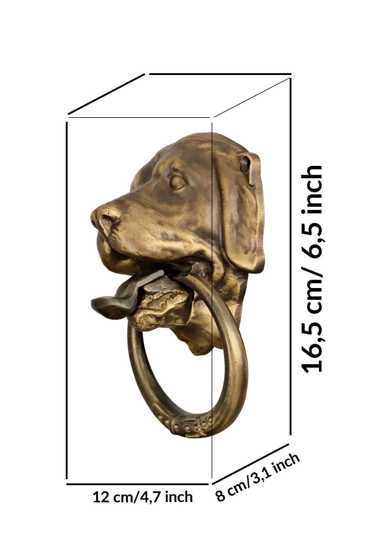 Mastiff Dog Head Brass Door Knocker – Medium