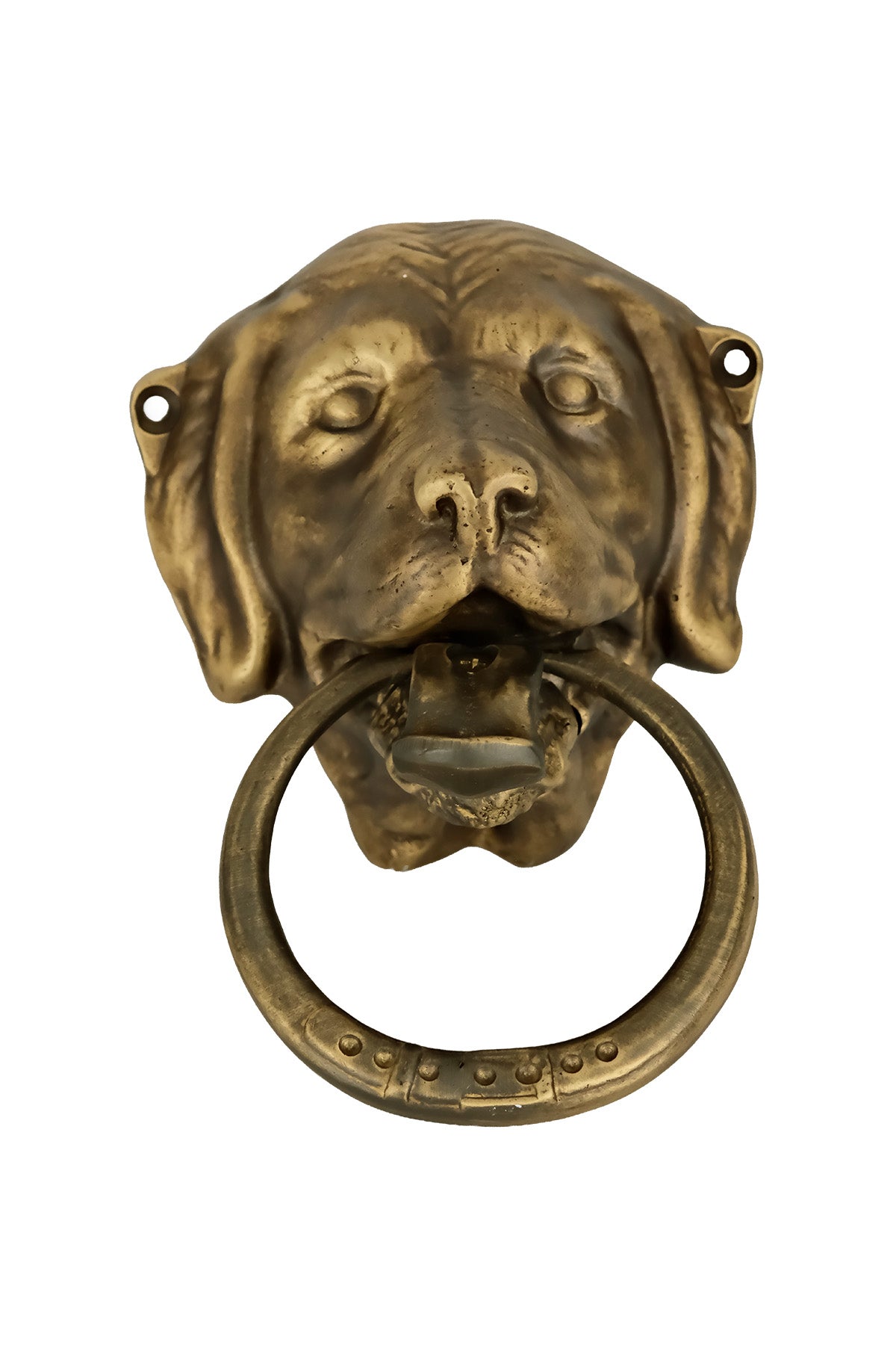 Mastiff Dog Head Brass Door Knocker – Medium