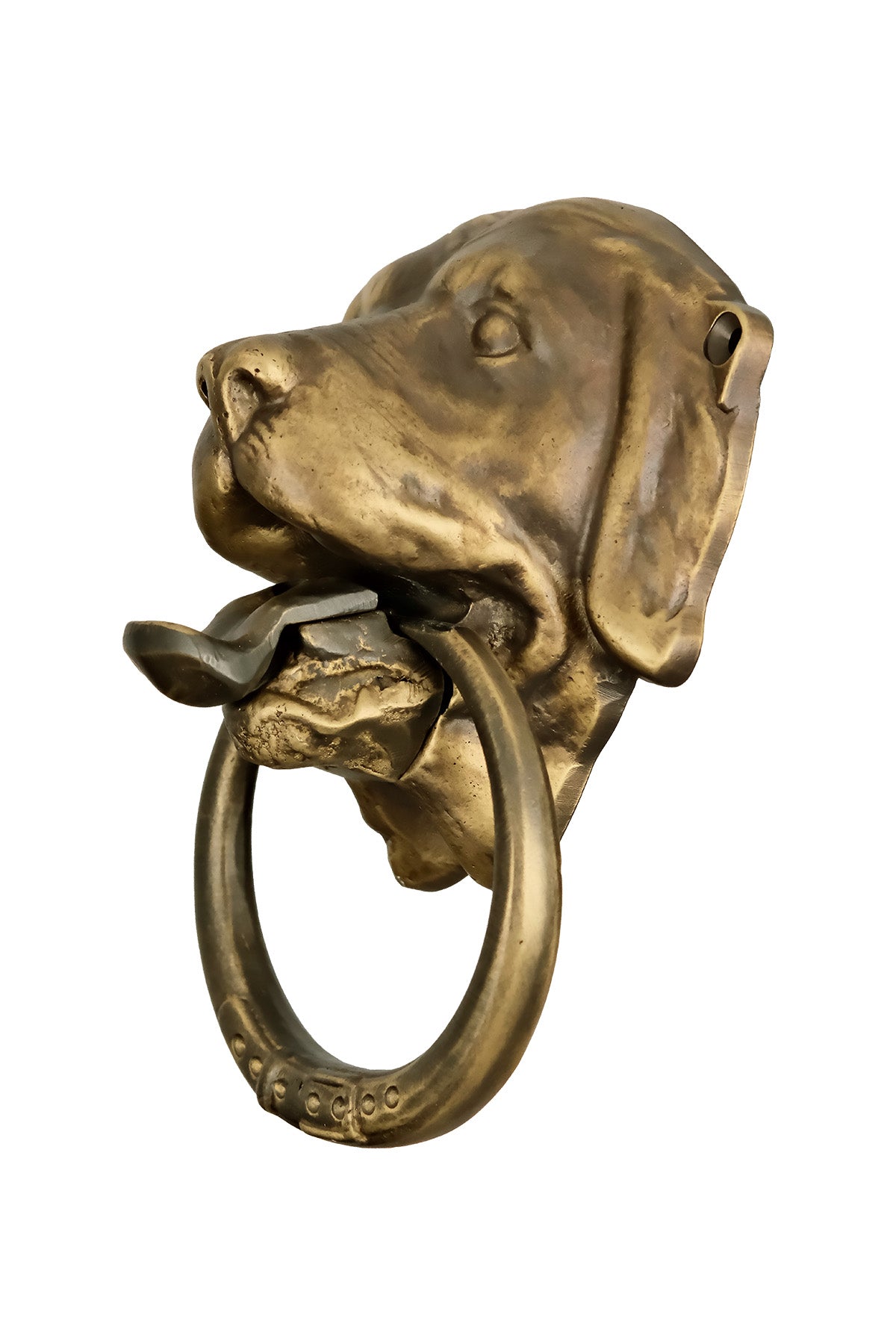 Mastiff Dog Head Brass Door Knocker – Medium