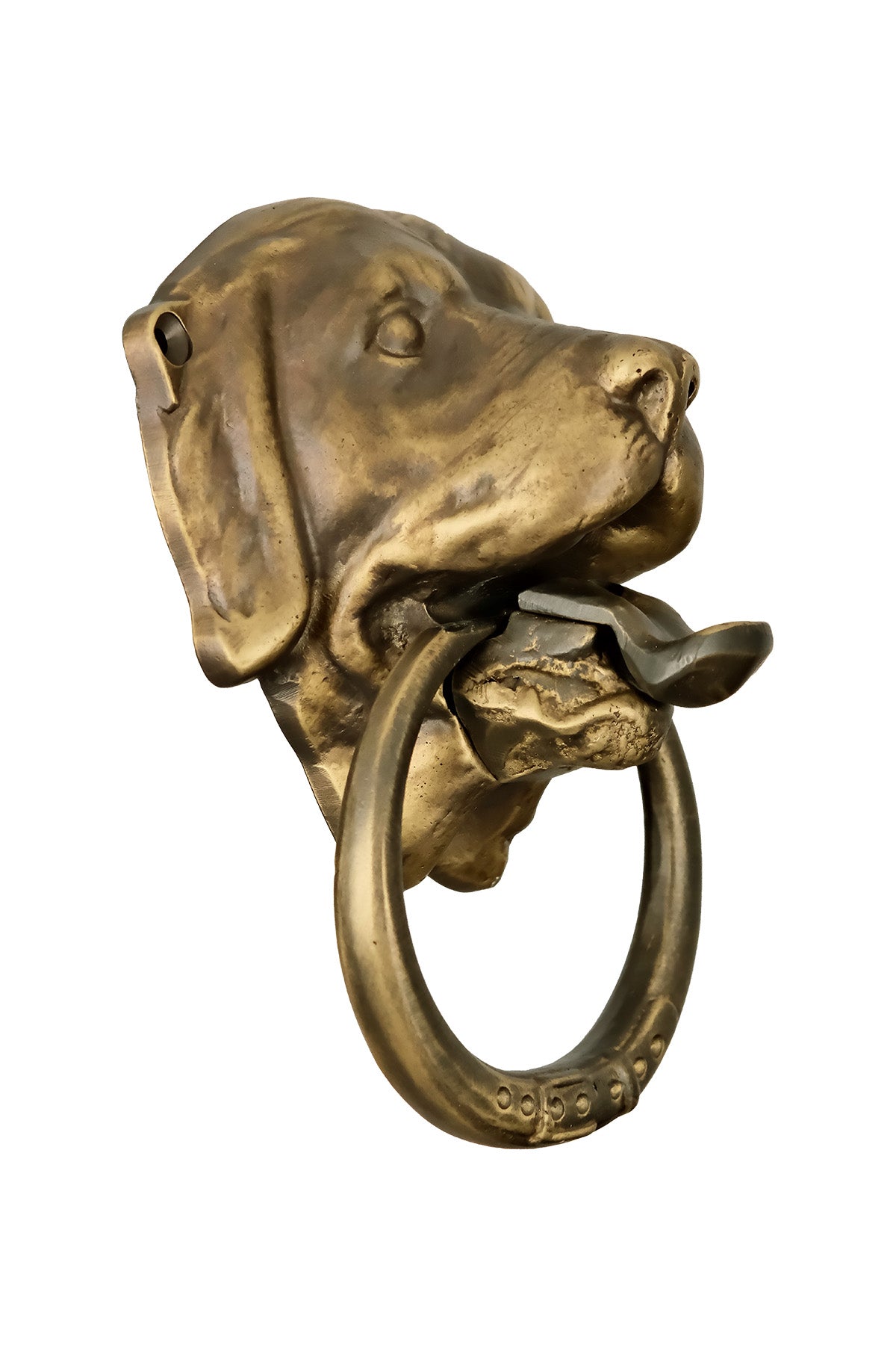 Mastiff Dog Head Brass Door Knocker – Medium