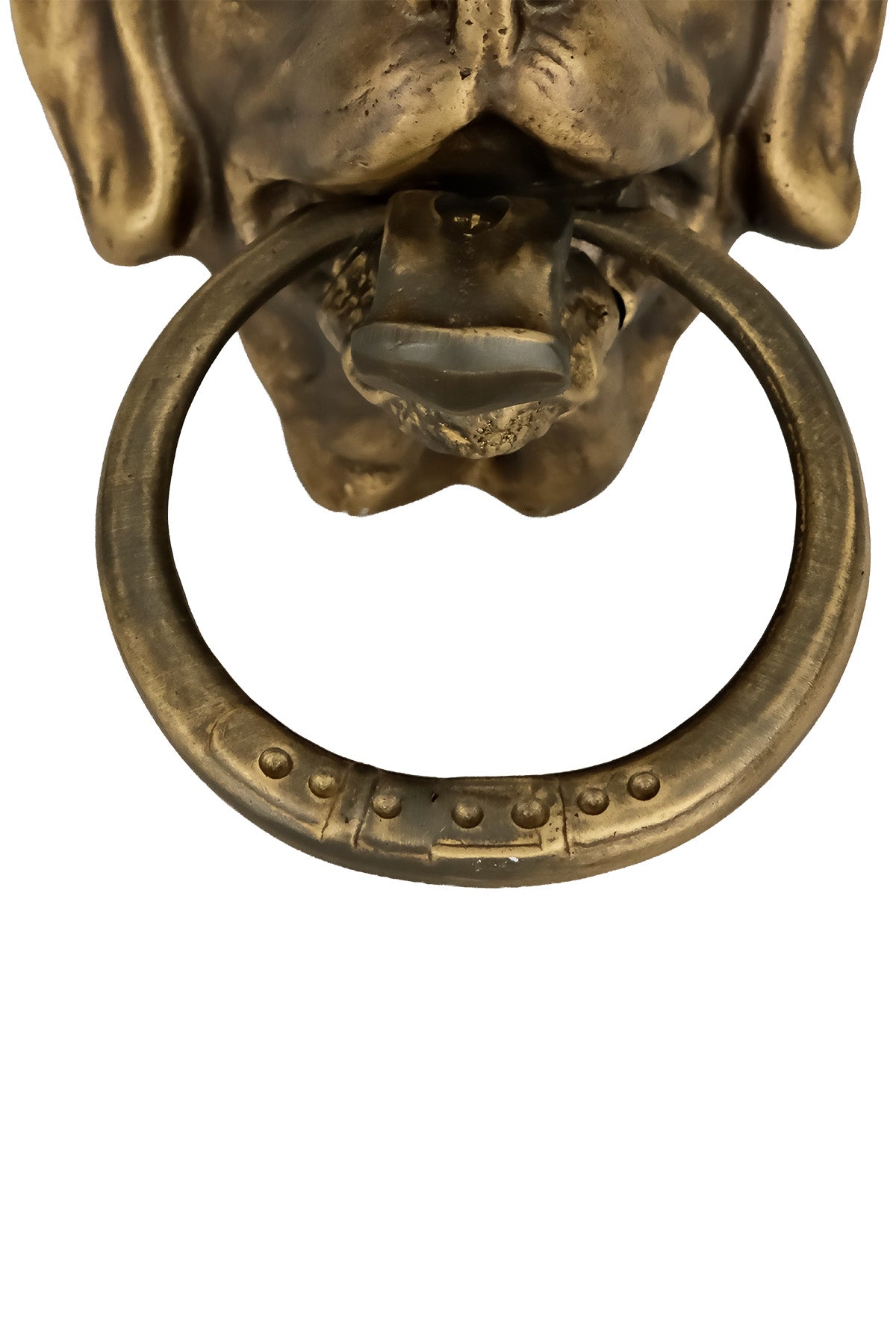 Mastiff Dog Head Brass Door Knocker – Medium