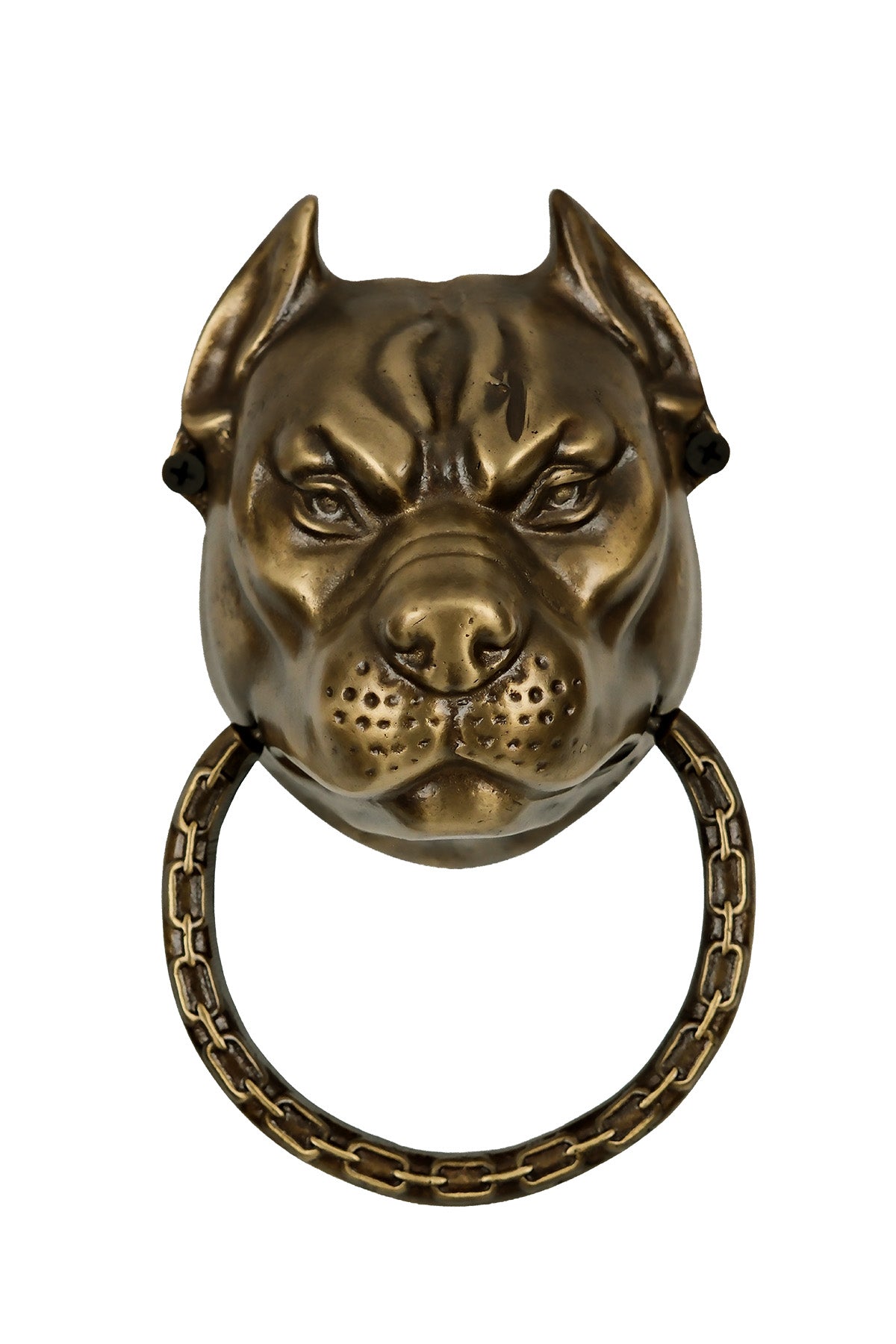 Pitbull Dog Head Brass Door Knocker – Medium
