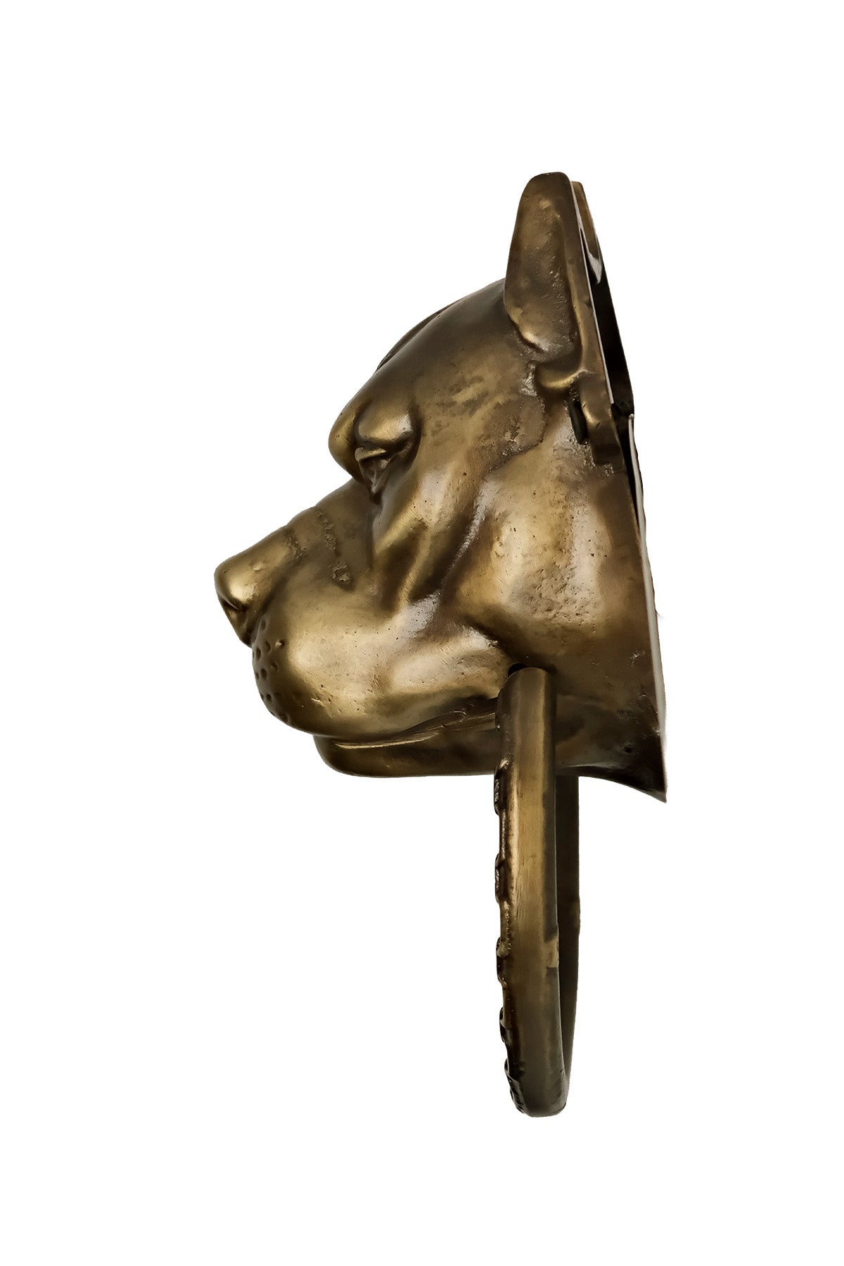 Pitbull Dog Head Brass Door Knocker – Medium