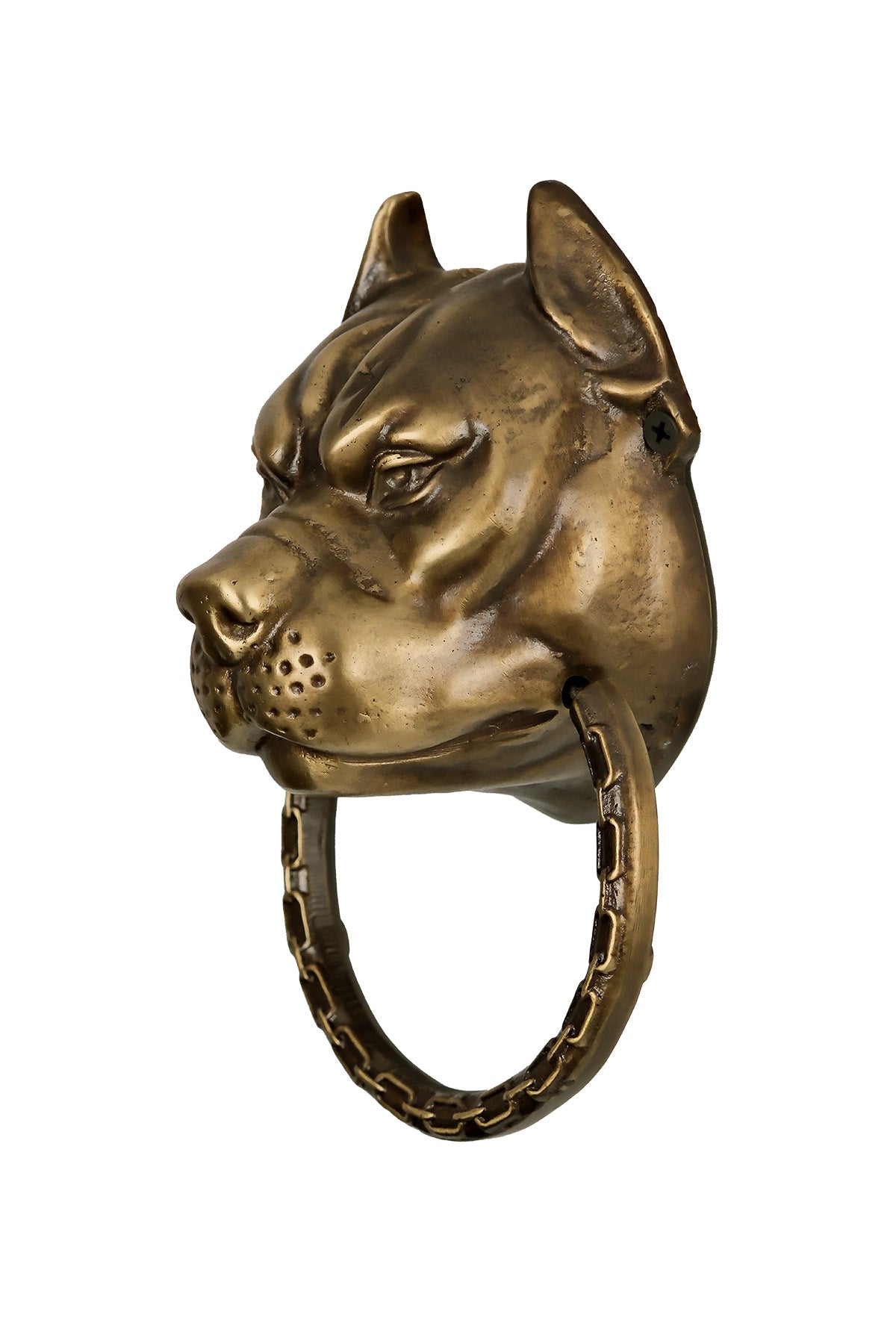 Pitbull Dog Head Brass Door Knocker – Medium