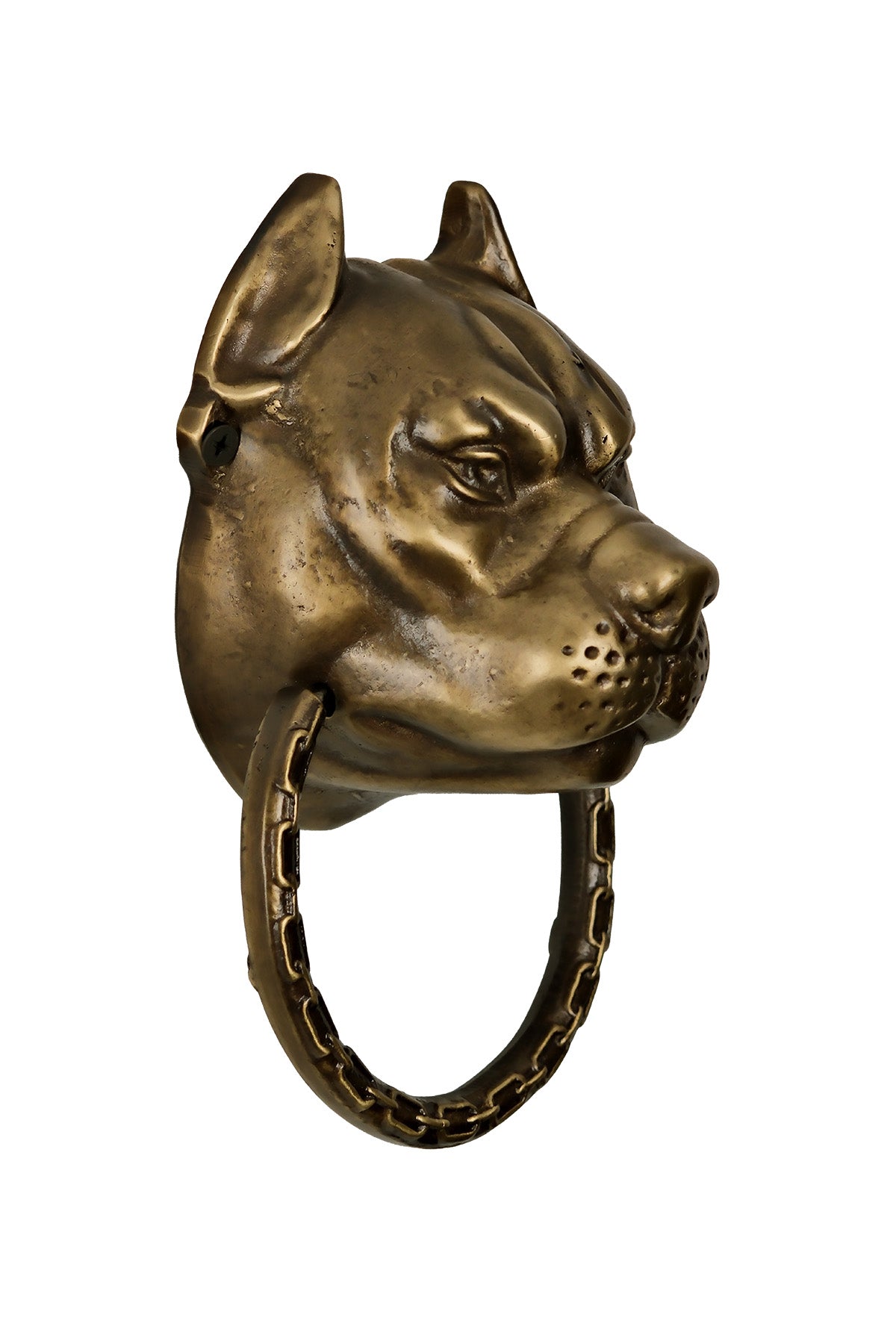 Pitbull Dog Head Brass Door Knocker – Medium