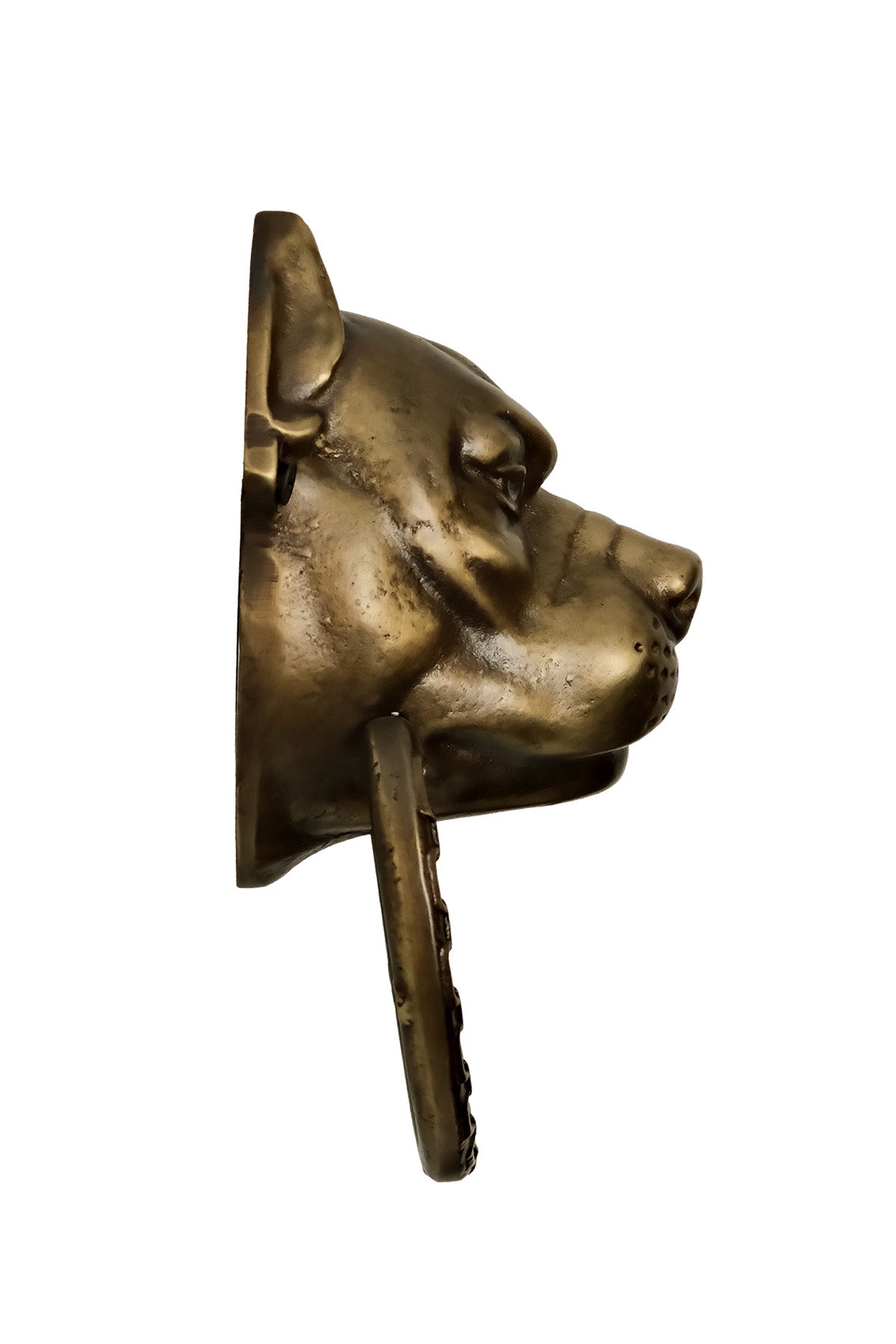 Pitbull Dog Head Brass Door Knocker – Medium