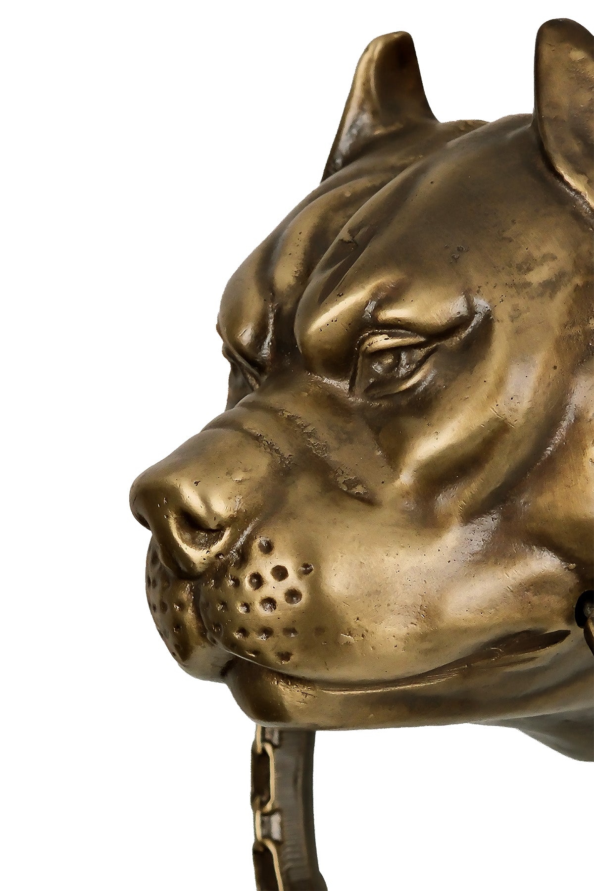 Pitbull Dog Head Brass Door Knocker – Medium