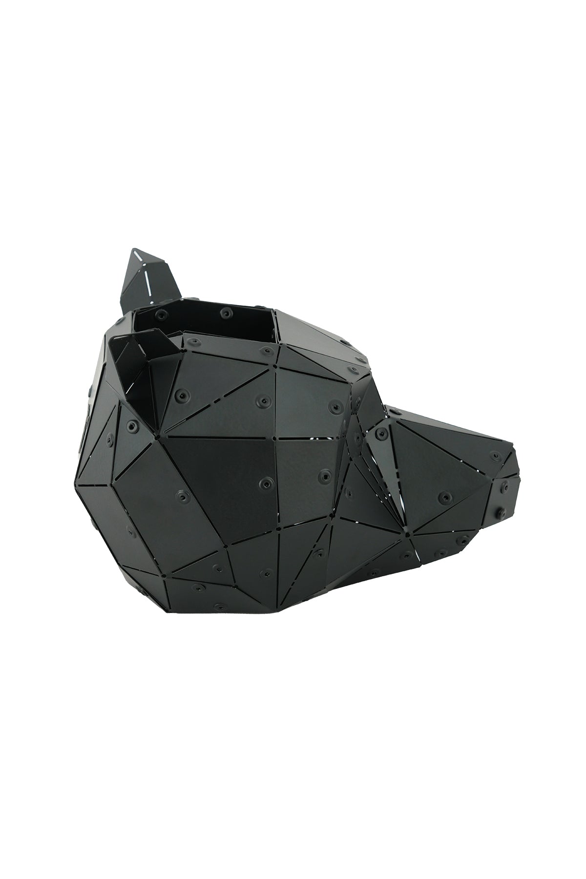 Matte black Bear Head sculpture in its custom wooden presentation box