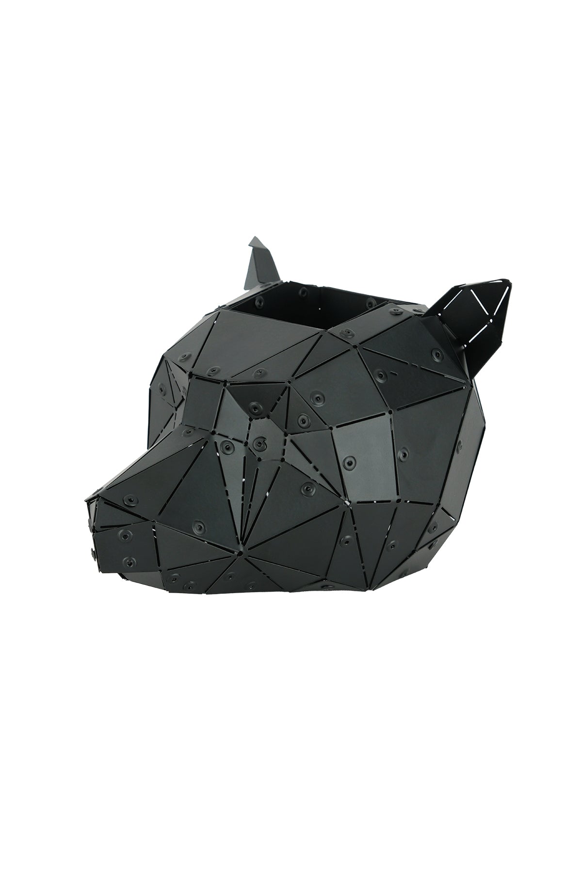 Matte black Bear Head sculpture in its custom wooden presentation box
