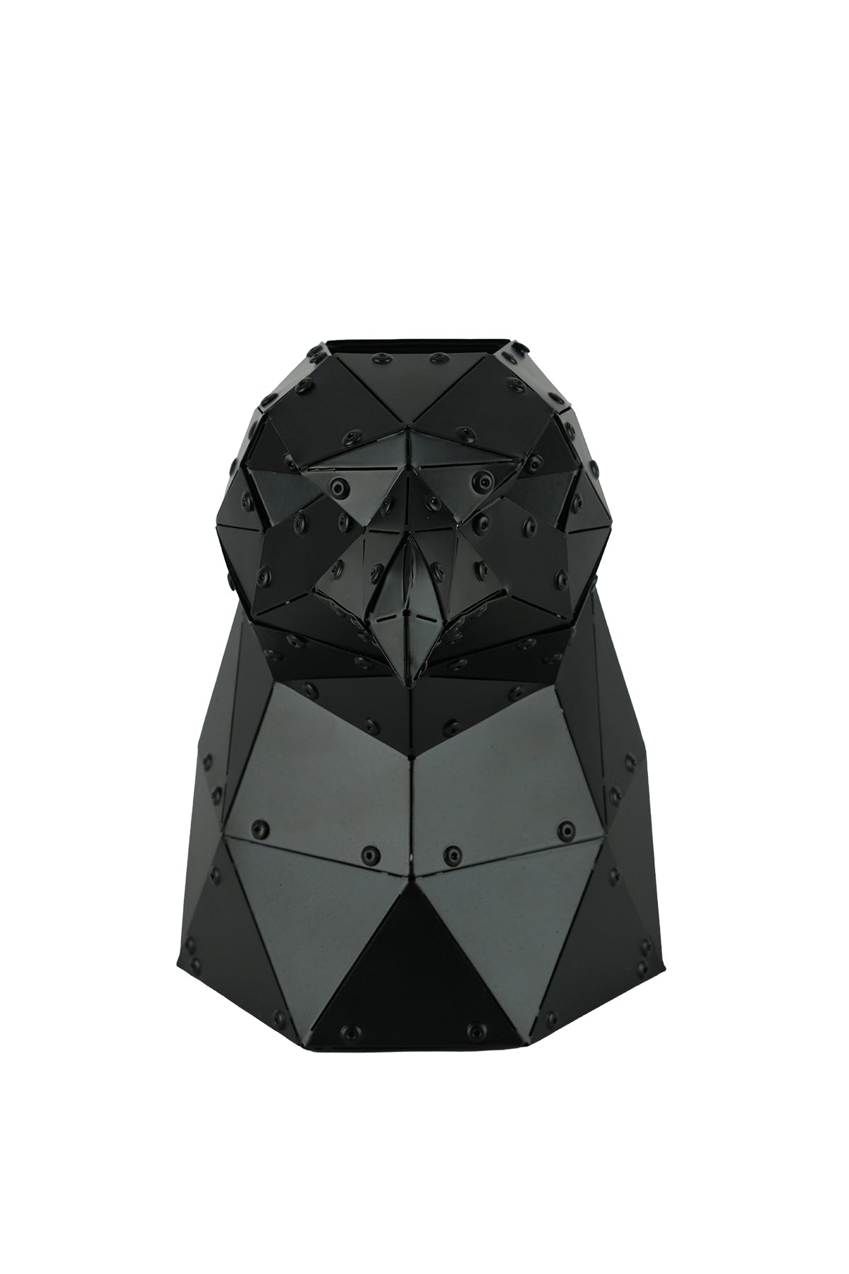 Eagle Head — Matte Black Metal Sculpture & Pen Holder