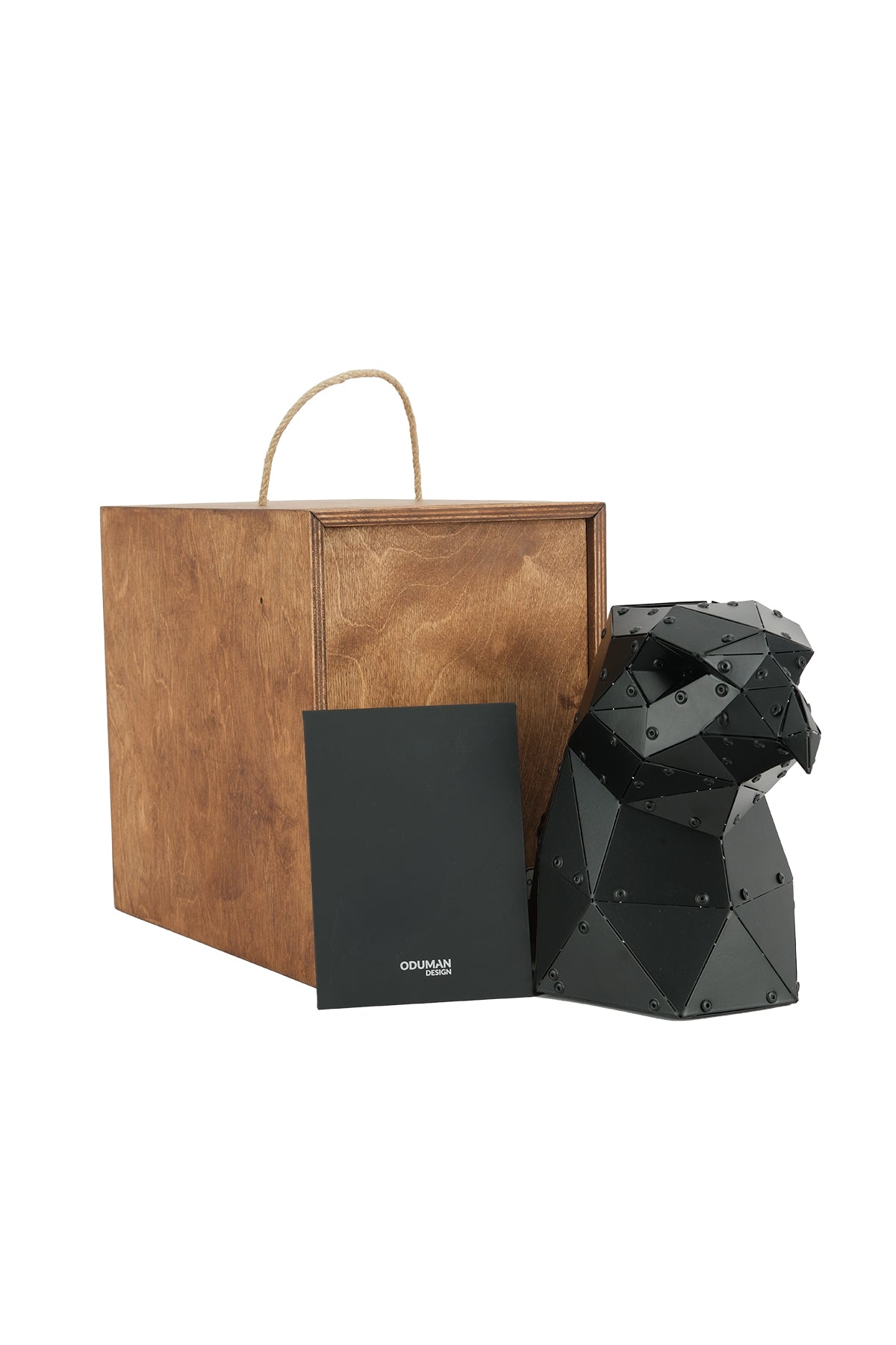 Eagle Head — Matte Black Metal Sculpture & Pen Holder